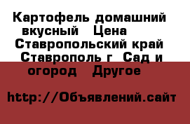 Картофель домашний, вкусный › Цена ­ 30 - Ставропольский край, Ставрополь г. Сад и огород » Другое   